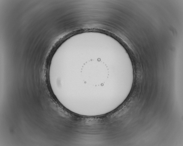 X0000110700832200906121332