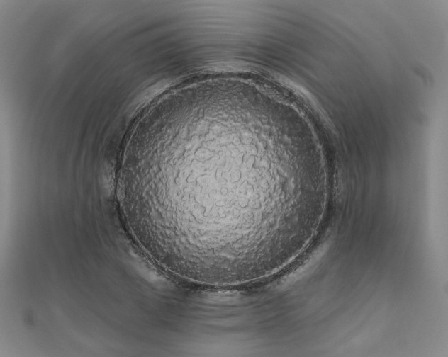 X0000110700833200906121332