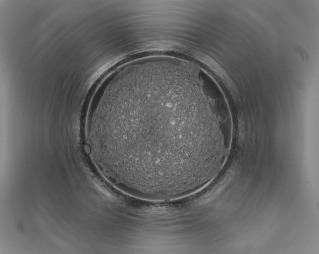 X0000110700834200906121332