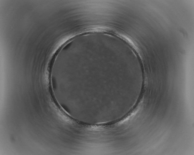 X0000110700835200906121332
