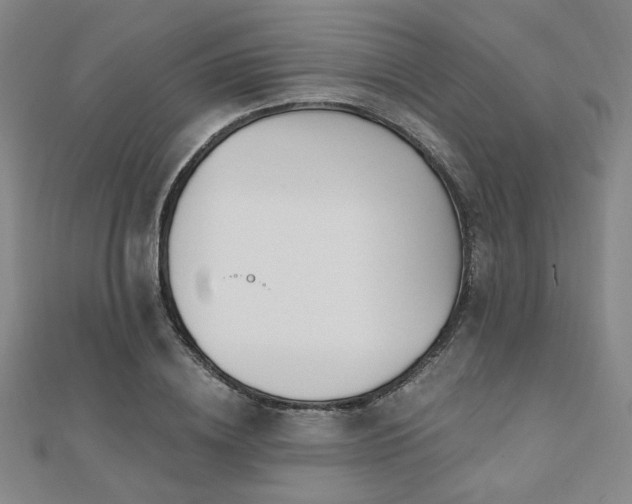 X0000110700836200906121332