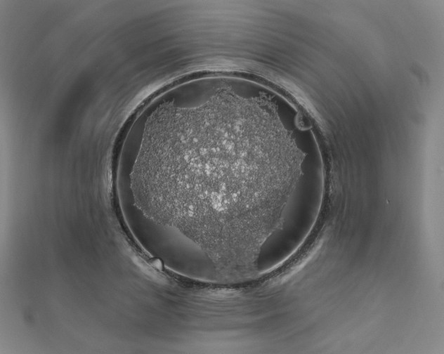 X0000110700837200906121332