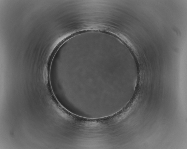 X0000110700838200906121332