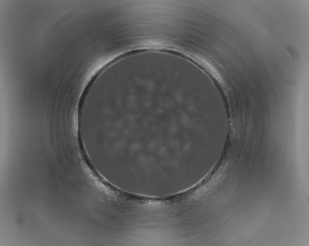X0000110700839200906121332