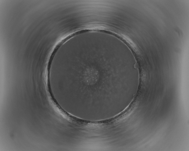 X0000110700840200906121332