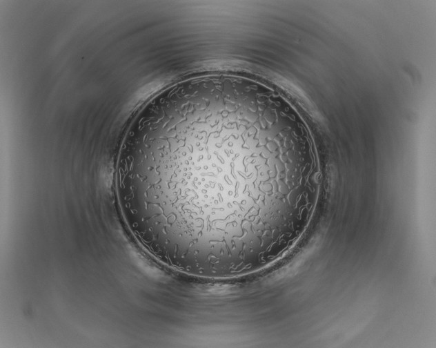X0000110700841200906121332