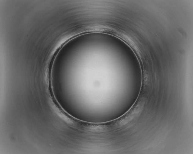 X0000110700843200906121332