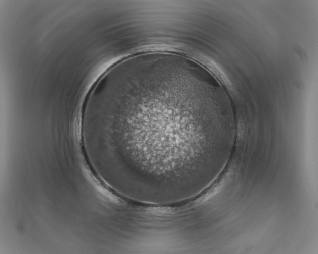 X0000110700844200906121332