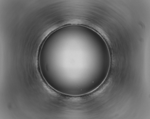 X0000110700845200906121332