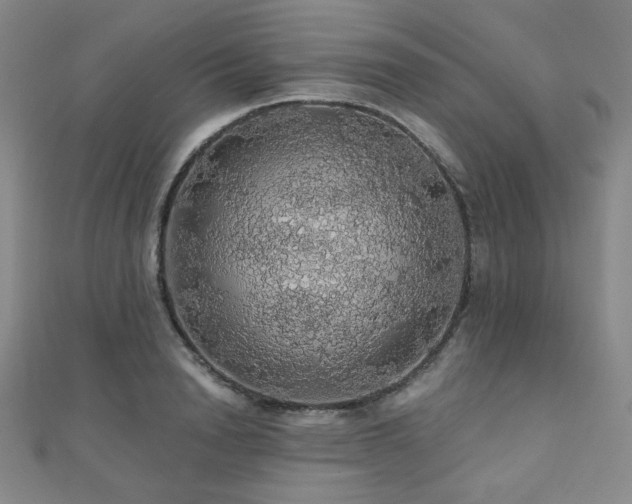 X0000110700846200906121332