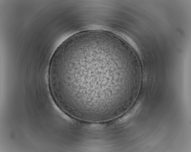 X0000110700847200906121332