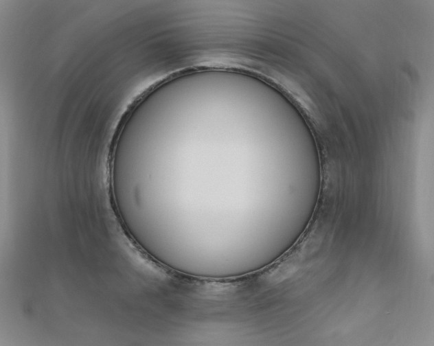 X0000110700848200906121332