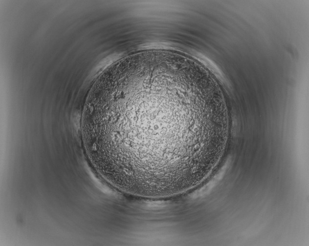 X0000110700849200906121332