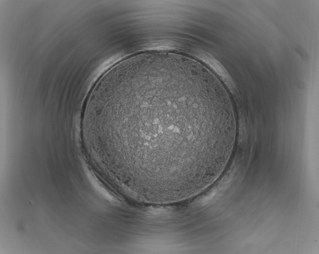 X0000110700850200906121332