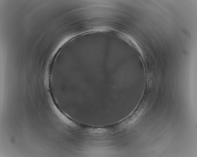 X0000110700851200906121332