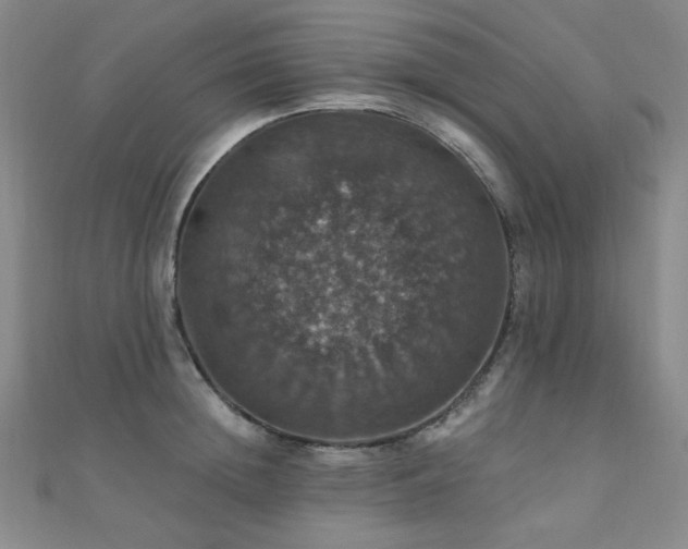 X0000110700852200906121332