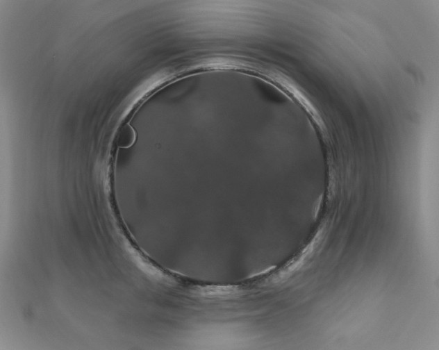 X0000110700853200906121332