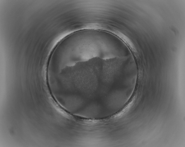 X0000110700854200906121332