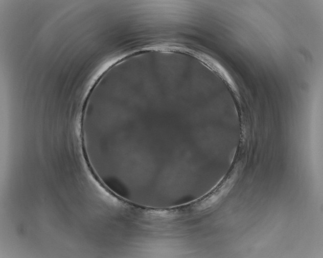 X0000110700855200906121332