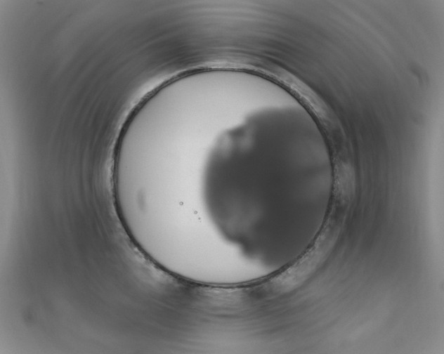 X0000110700856200906121332