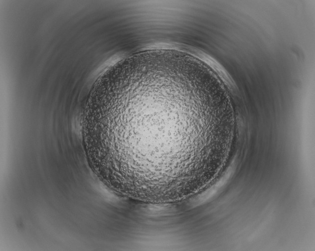 X0000110700857200906121332