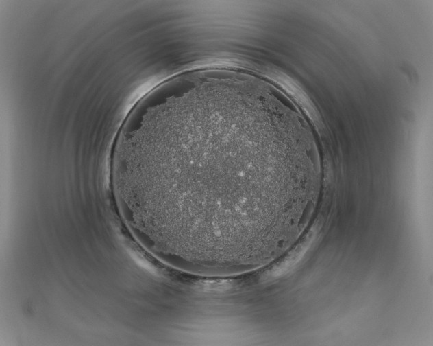 X0000110700858200906121332