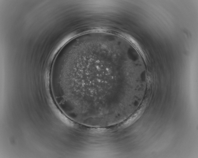 X0000110700859200906121332