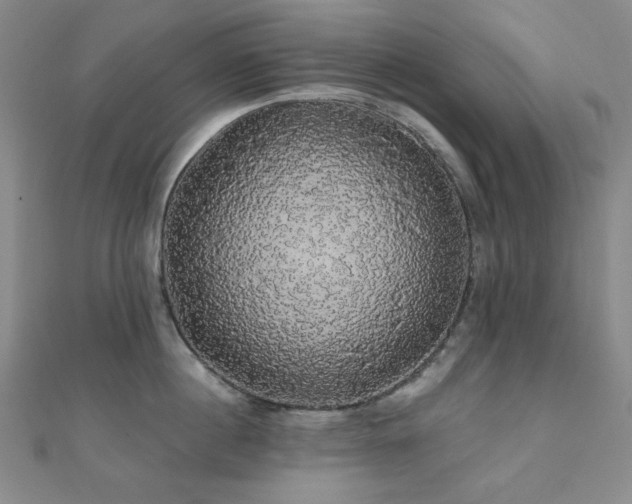 X0000110700860200906121332