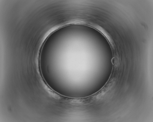 X0000110700861200906121332