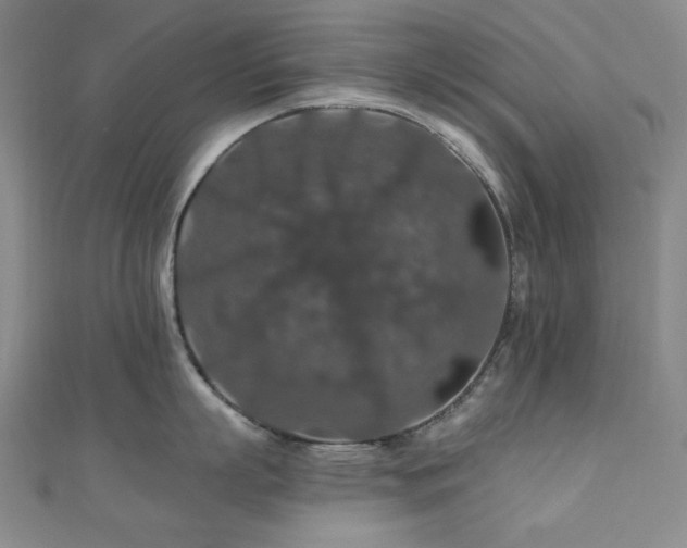 X0000110700863200906121332