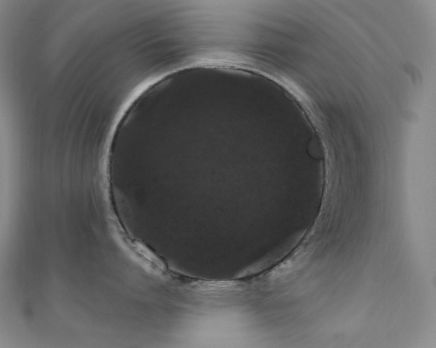 X0000110700864200906121332
