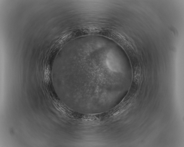 X0000110700866200906121331