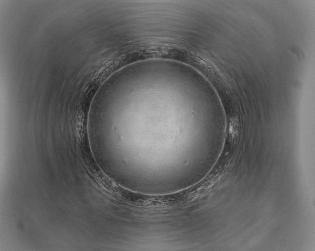 X0000110700867200906121331