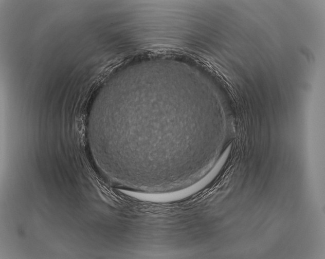 X0000110700868200906121331