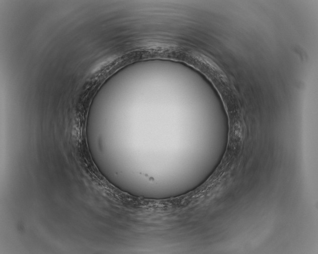 X0000110700869200906121331