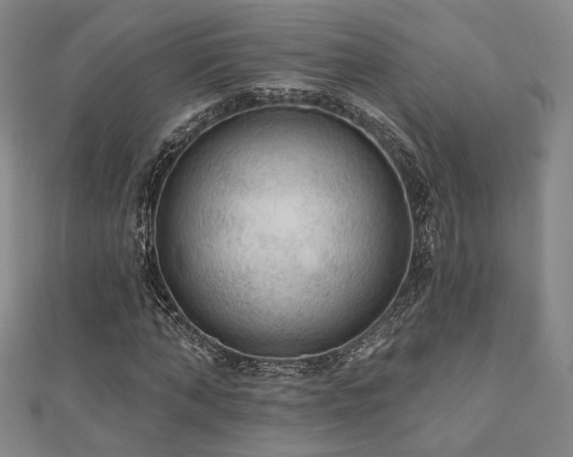 X0000110700870200906121331