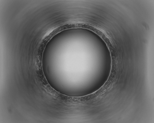 X0000110700871200906121331