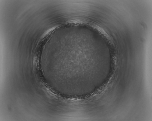 X0000110700872200906121331