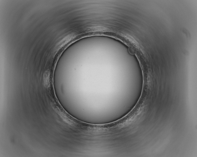 X0000110700873200906121331