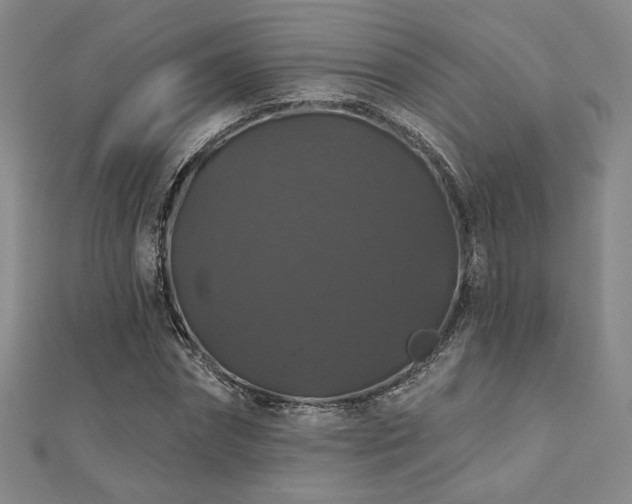 X0000110700874200906121331