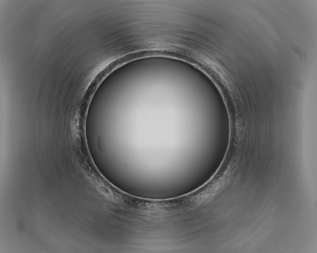 X0000110700875200906121331