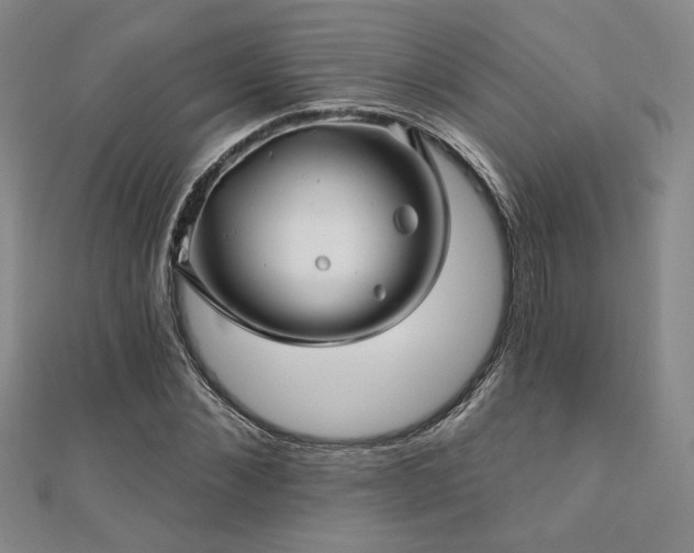 X0000110700876200906121331