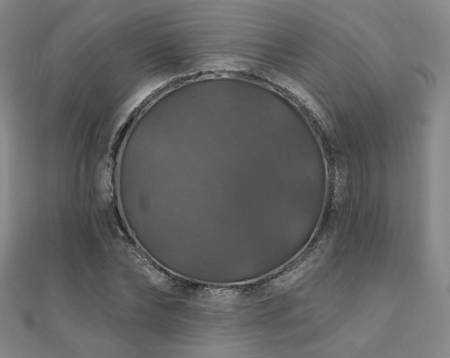 X0000110700878200906121331