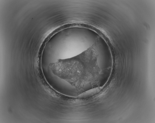 X0000110700879200906121331