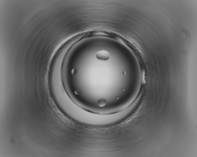 X0000110700880200906121331