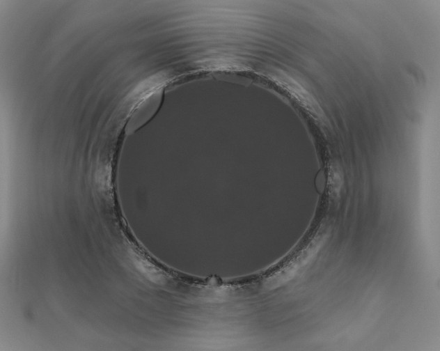 X0000110700881200906121331