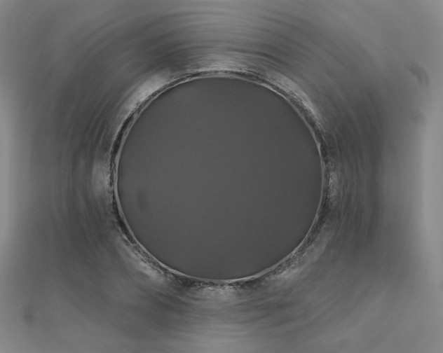 X0000110700882200906121331
