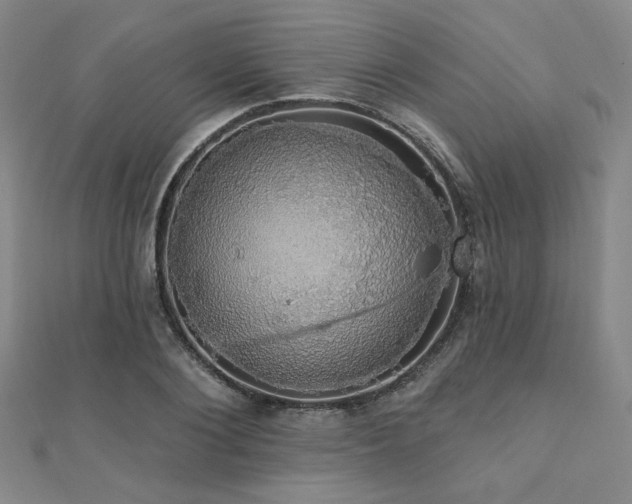 X0000110700884200906121331
