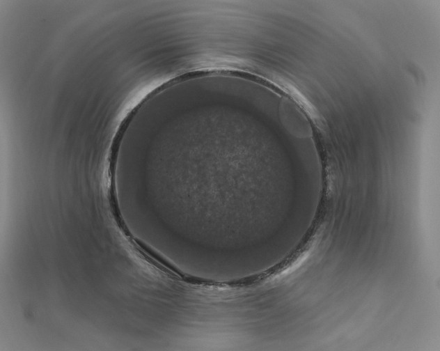X0000110700885200906121331