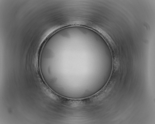 X0000110700886200906121331